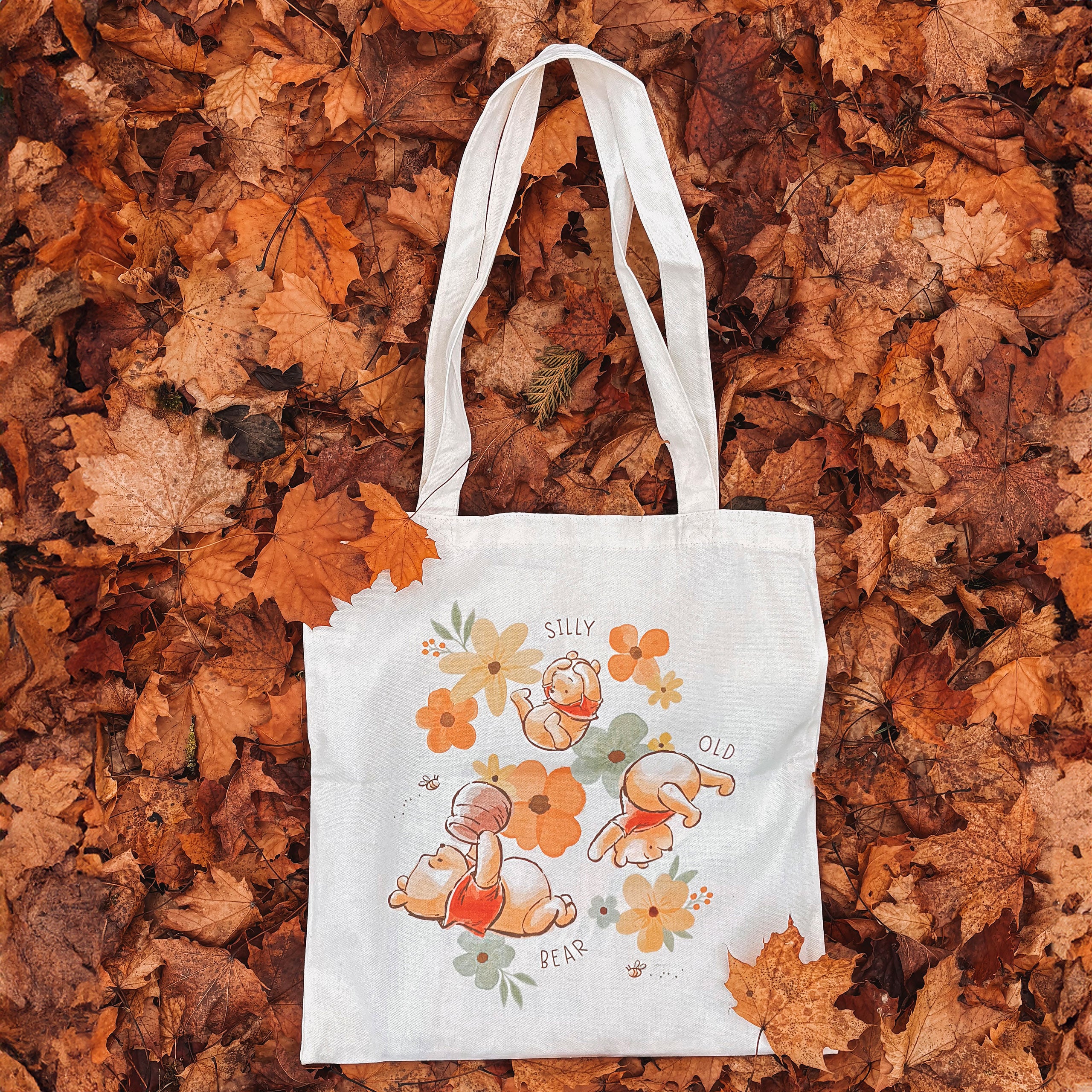 Imagen del producto Winnie the Pooh - Bolsa Silly Old Bear