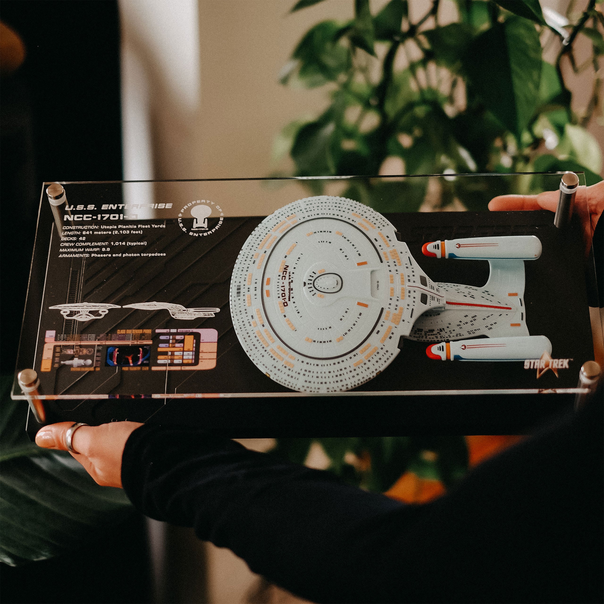 Imagen del producto Placa de pared Enterprise NCC-1701-D con réplica de modelo - Star Trek