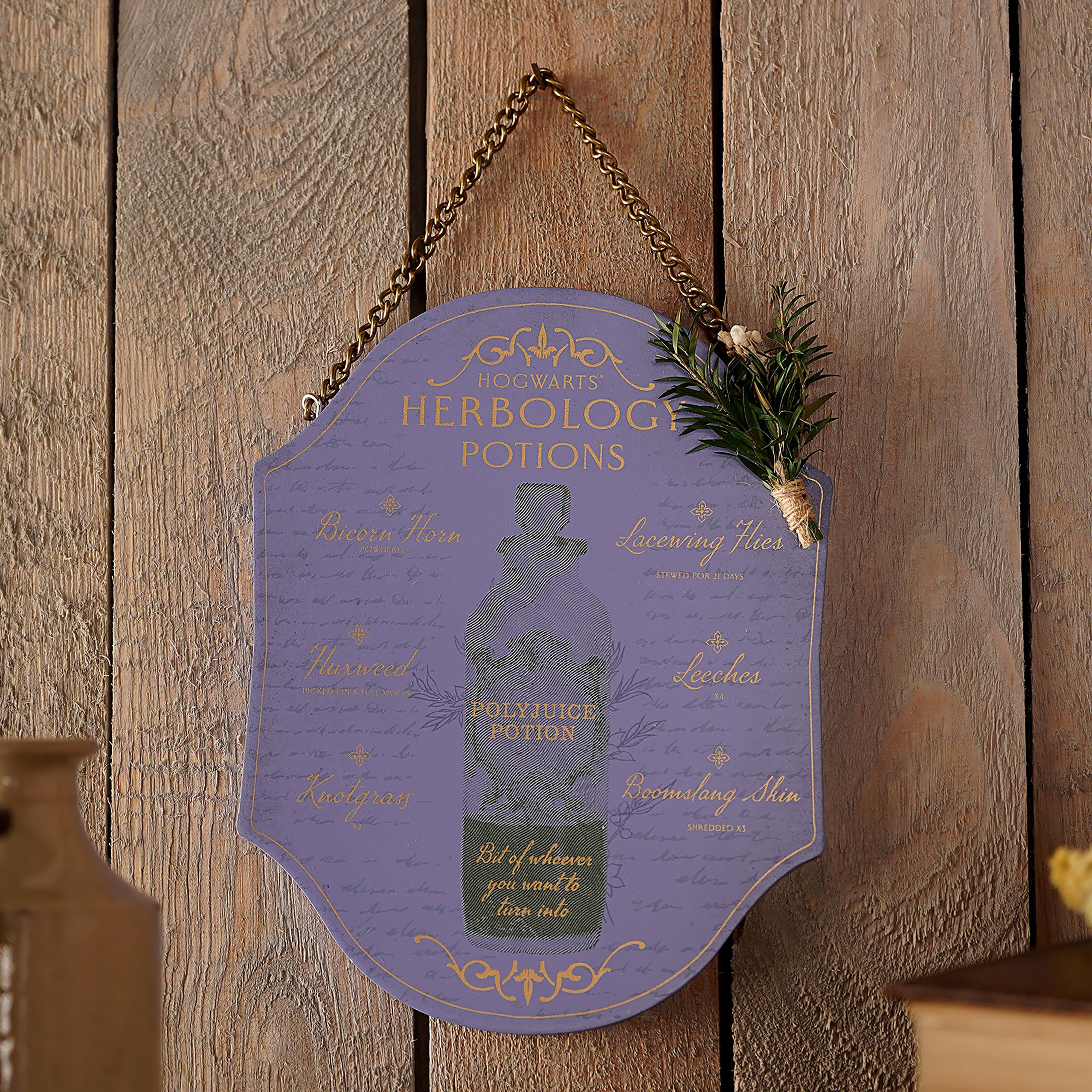 Imagen del producto Harry Potter - Cuadro de madera de Herbología y Pociones
