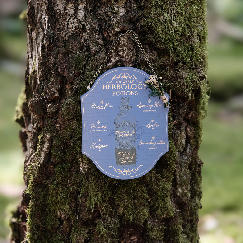 Imagen del producto Harry Potter - Cuadro de madera de Herbología y Pociones