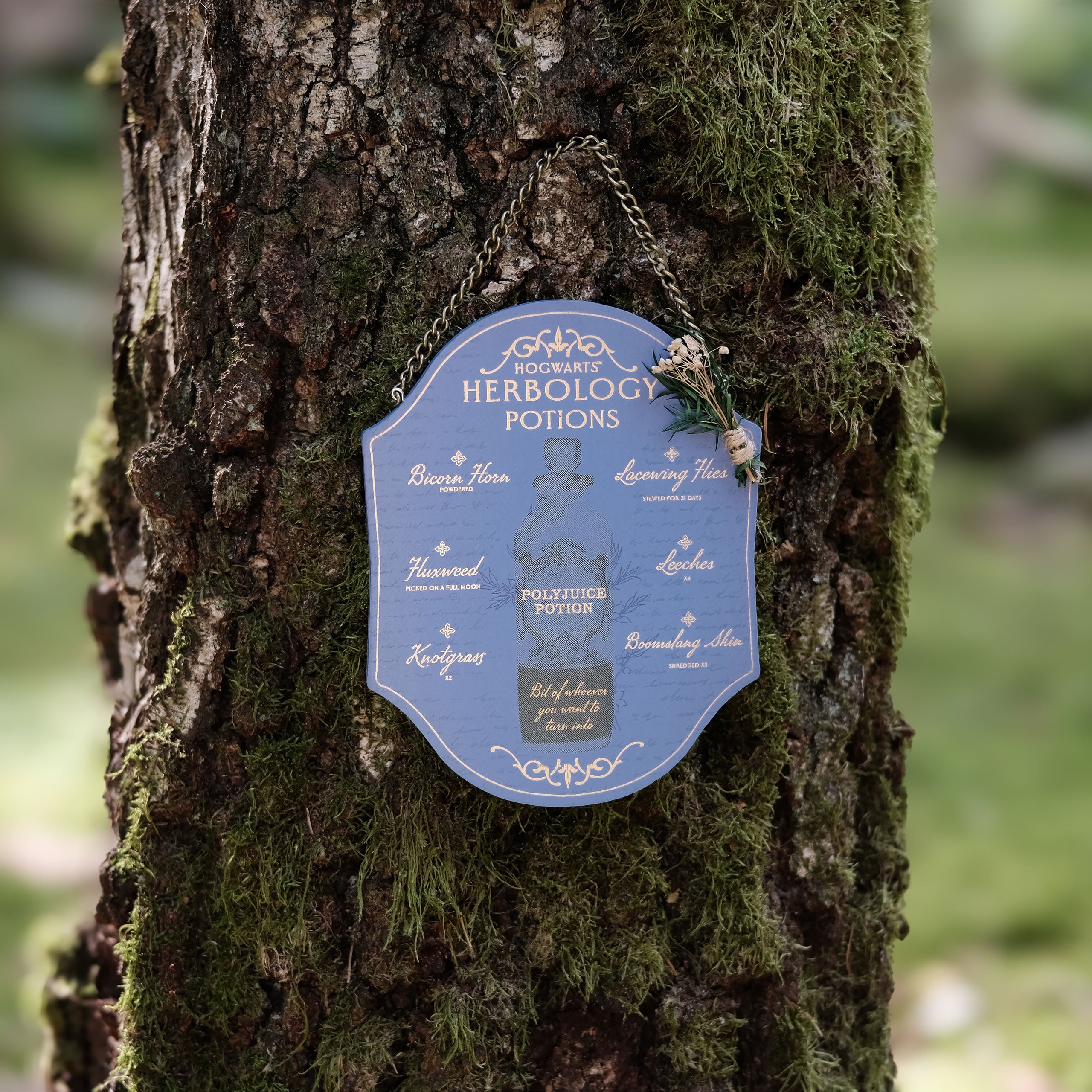 Imagen del producto Harry Potter - Cuadro de madera de Herbología y Pociones