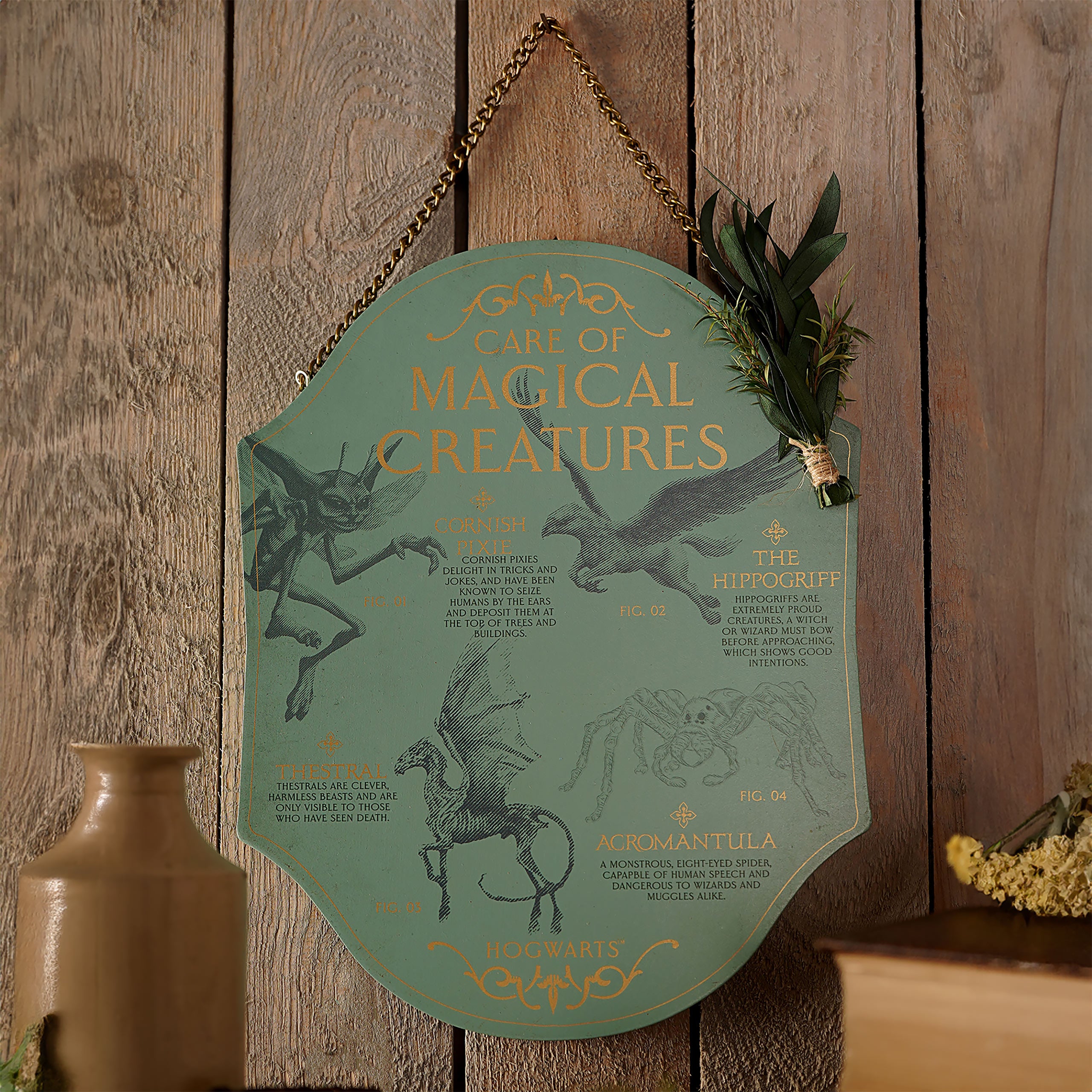 Imagen del producto Harry Potter - Cuidado de Criaturas Mágicas Cuadro de Madera