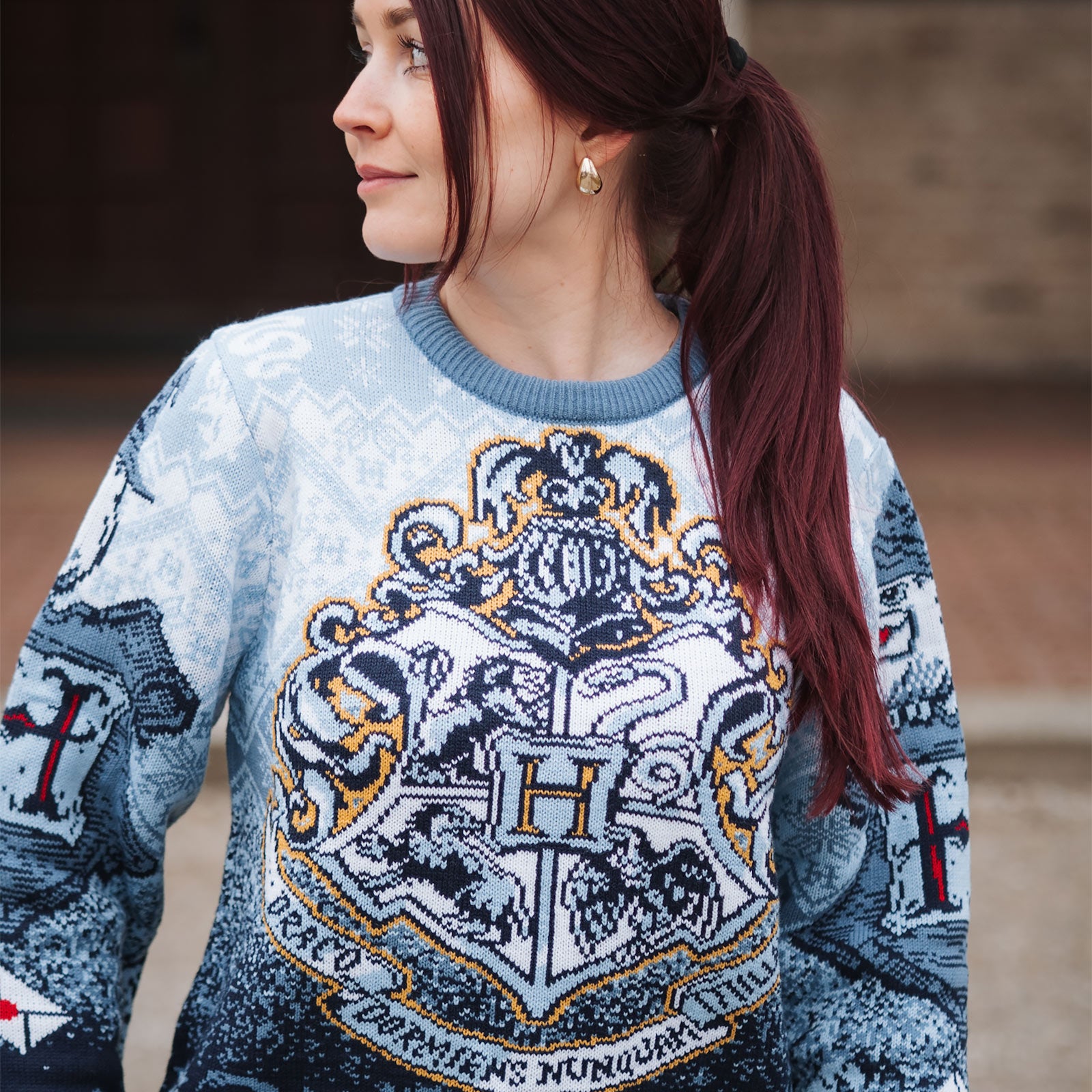 Imagen del producto Harry Potter - Jersey de punto Hogwarts