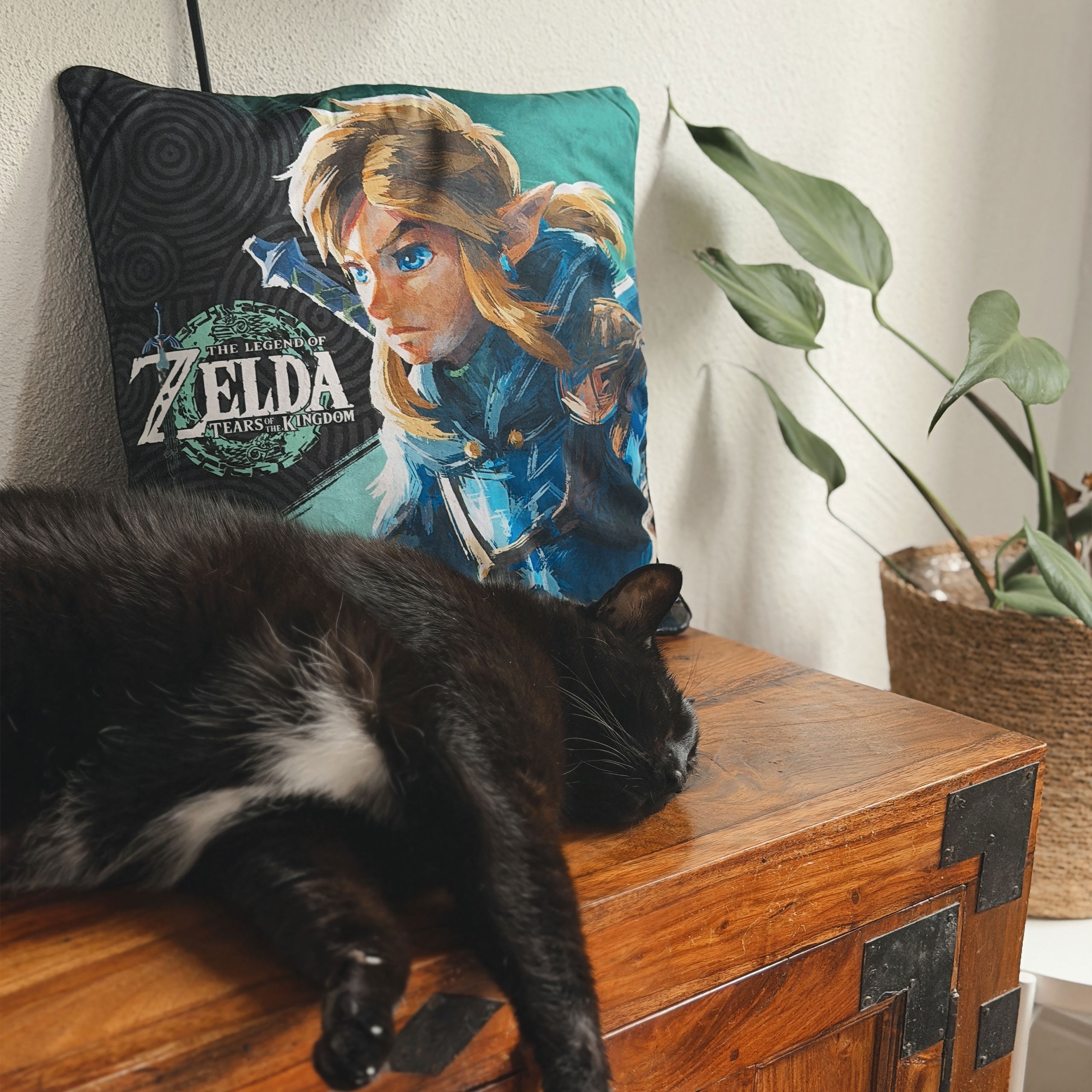 Imagen del producto Cojín Link - Zelda