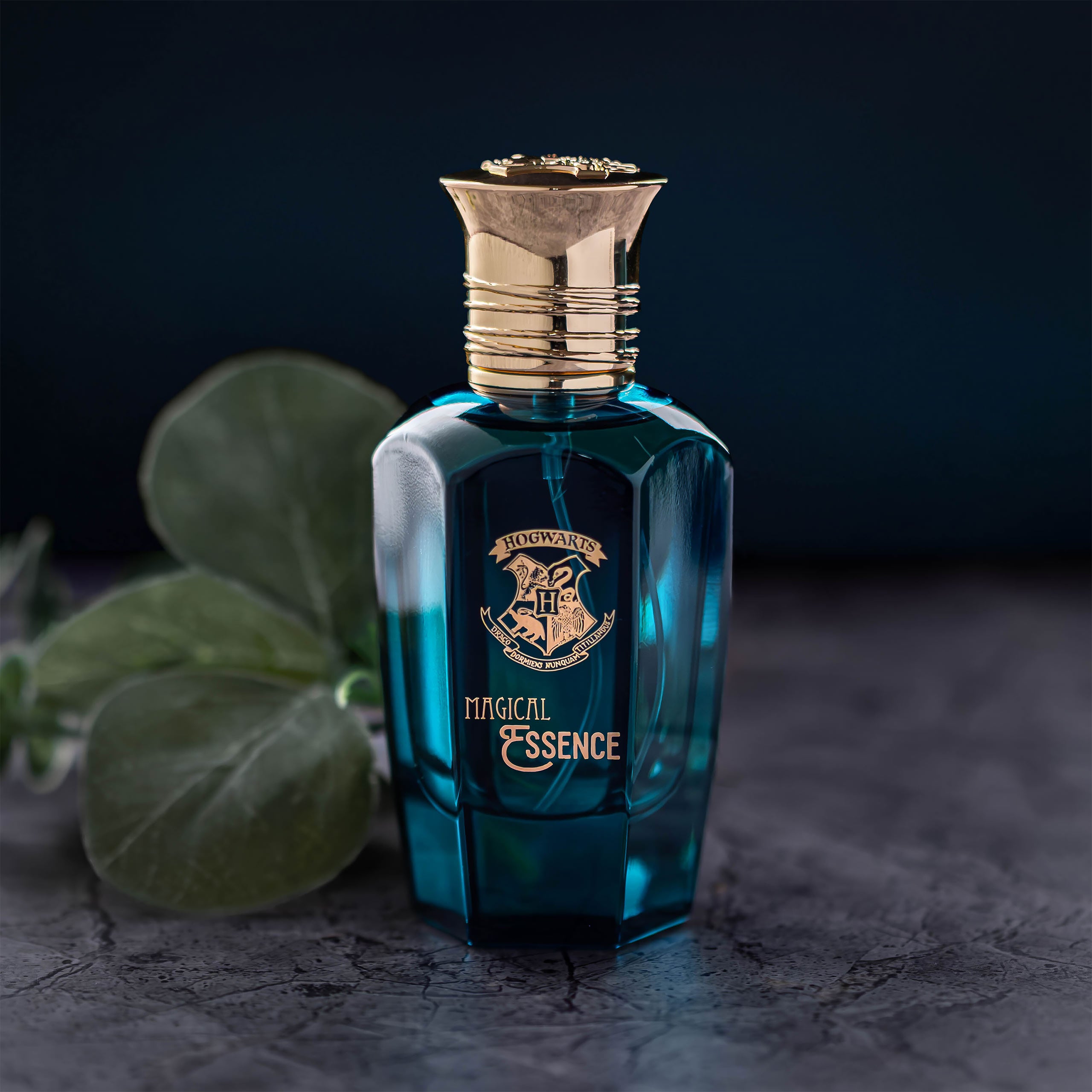 Imagen del producto Harry Potter - Magical Essence Legendary Eau de Parfum