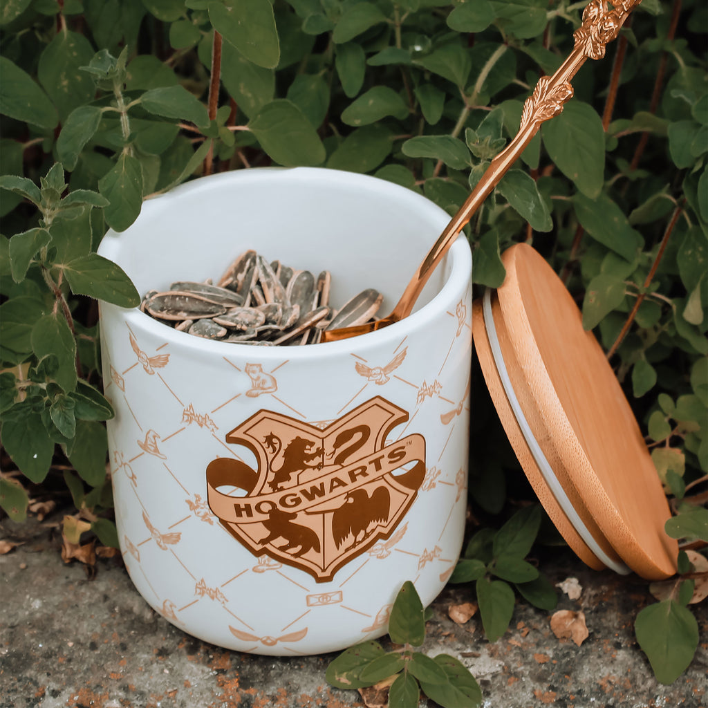 Imagen del producto Harry Potter - Bote Hogwarts Colección Serene