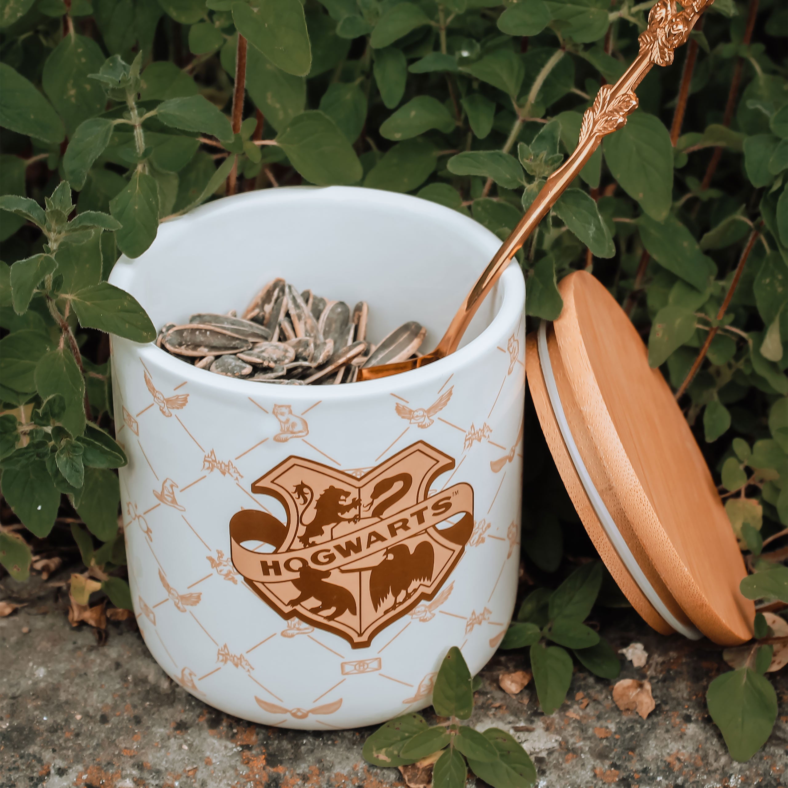 Imagen del producto Harry Potter - Bote Hogwarts Colección Serene