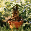 Product image Harry Potter - Mandrake Garden Figure