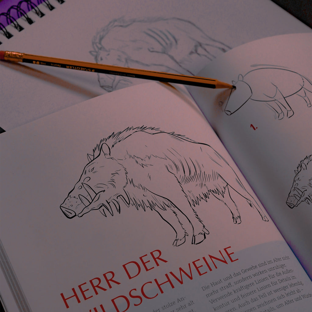Imagen del producto El libro de dibujo no oficial de Ghibli