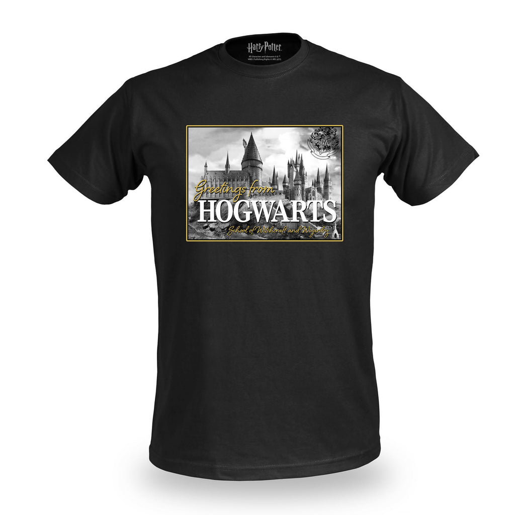 Imagen del producto Camiseta Greetings from Hogwarts - Harry Potter