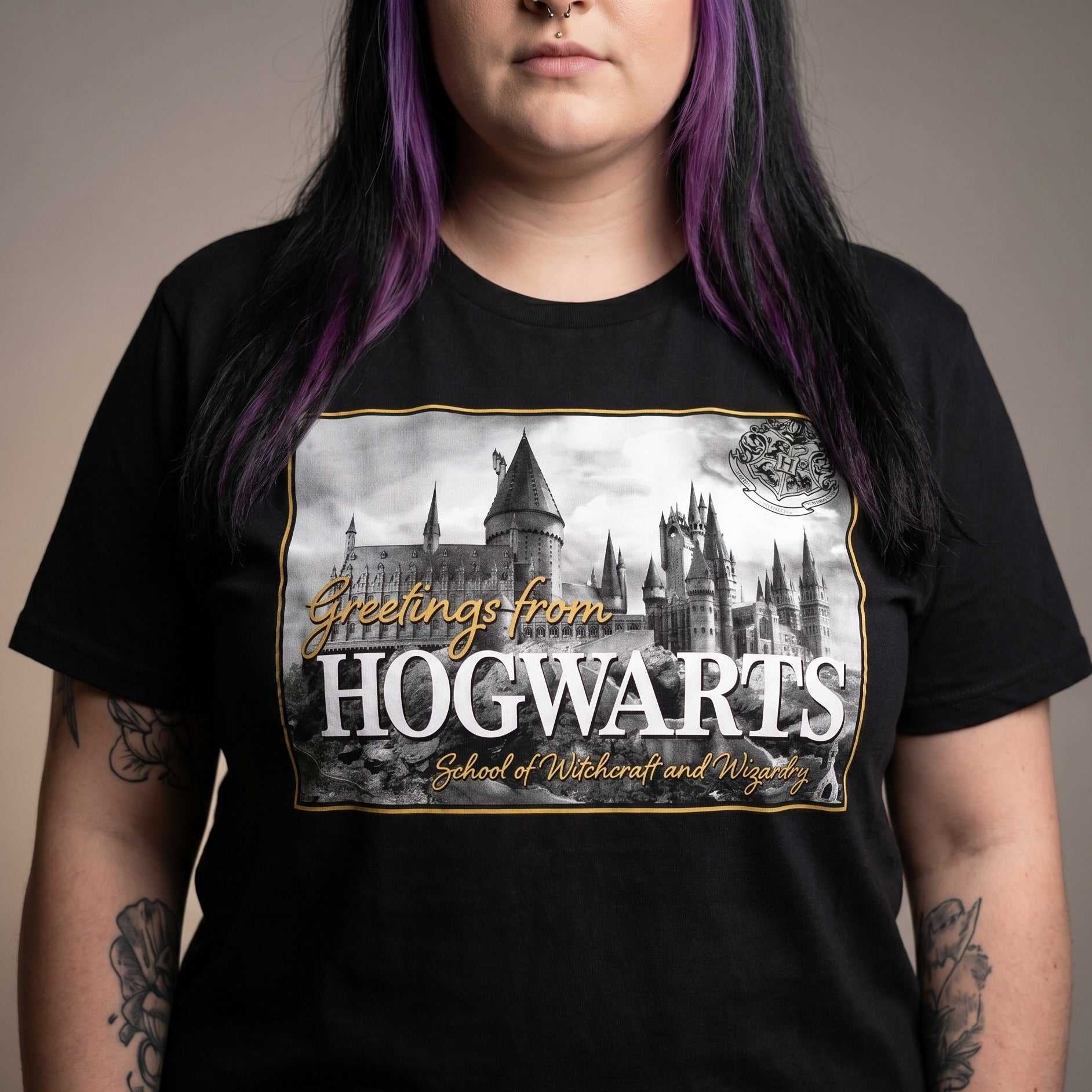 Imagen del producto Camiseta Greetings from Hogwarts - Harry Potter