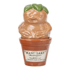 Imagen del producto Harry Potter - Botes de Sal y Pimienta Mandrágora