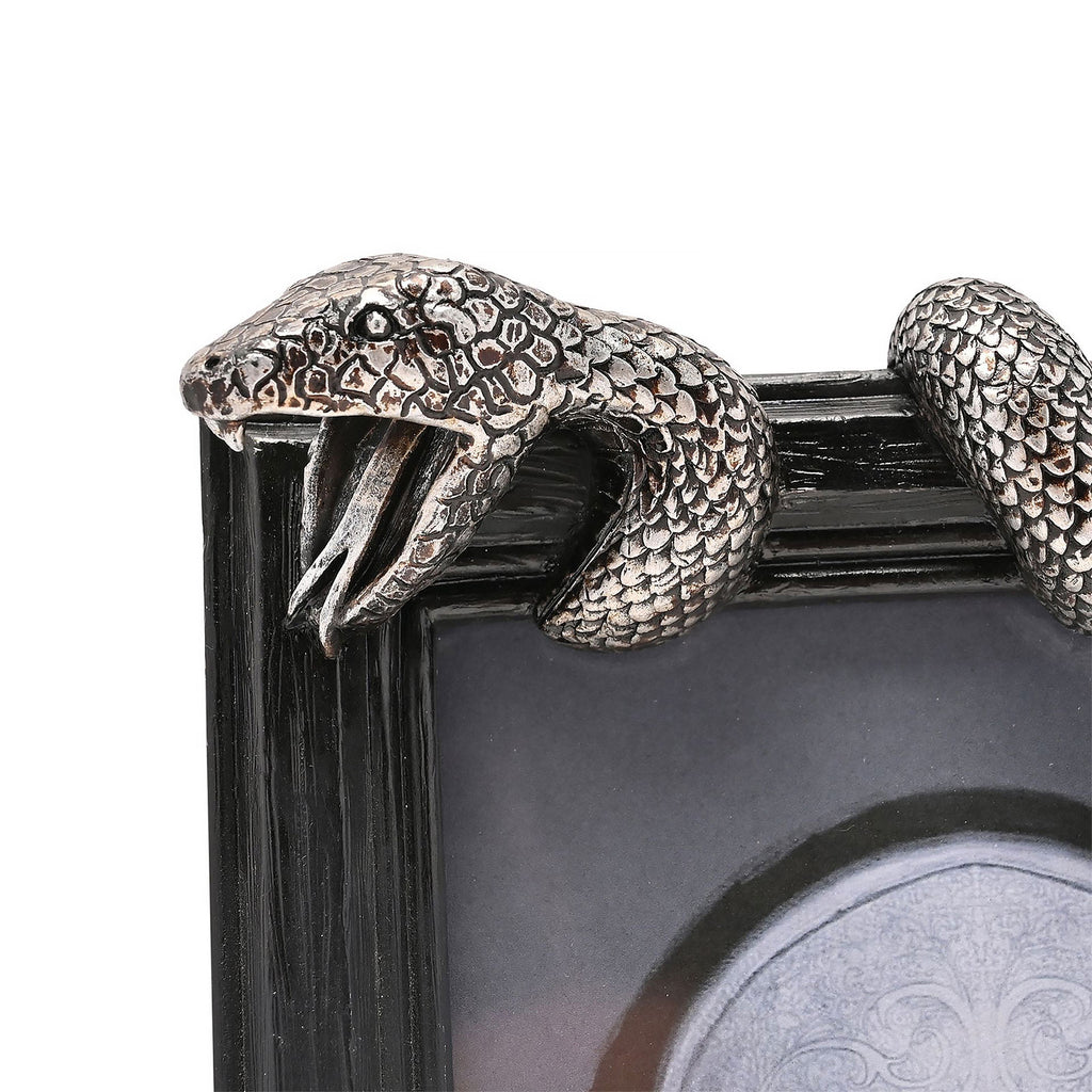 Imagen del producto Harry Potter - Marco de fotos Nagini