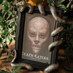 Imagen del producto Harry Potter - Marco de fotos Nagini