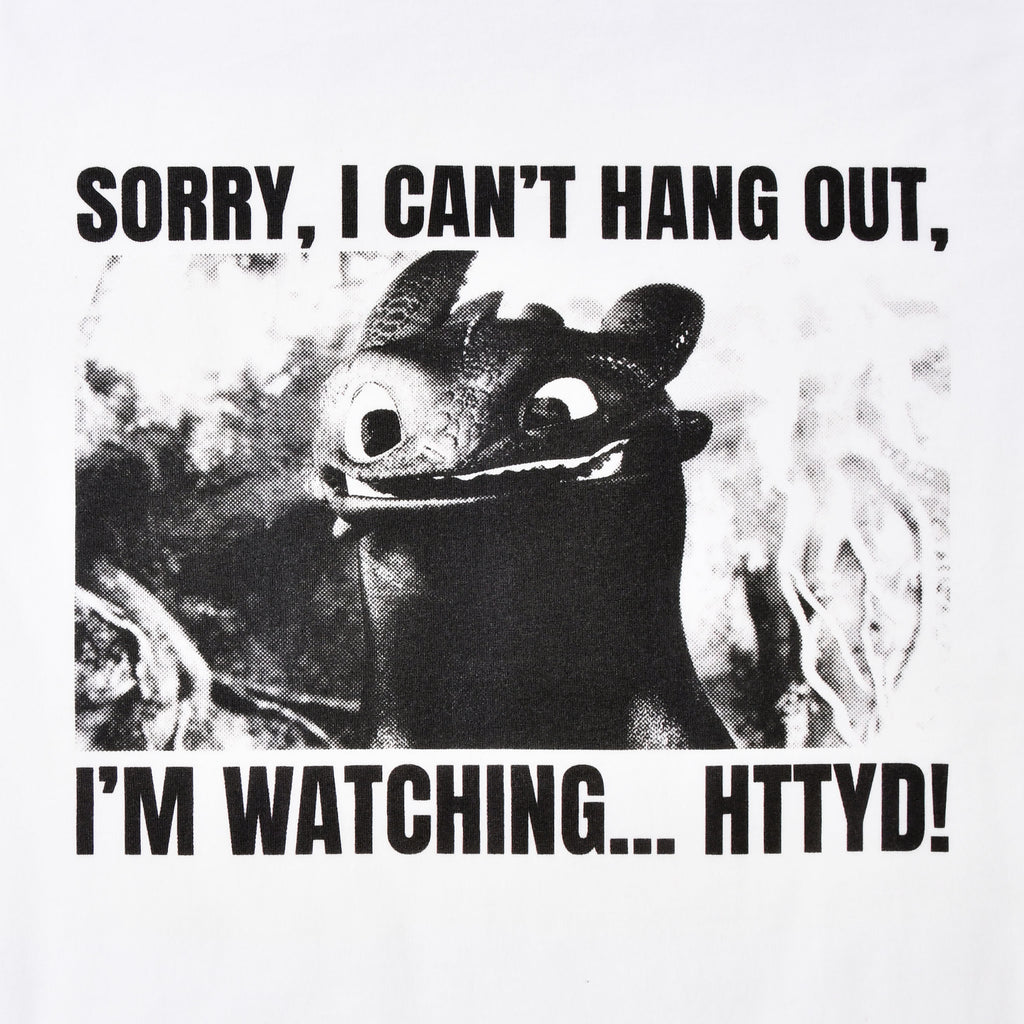 Product image Toothless Watching HTTYD T-Shirt - How to Train Your Dragon