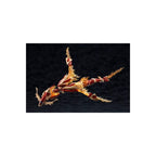 Imagen del producto Arcanadea - Figura Model Kit XenoAlma Blaze Ophis