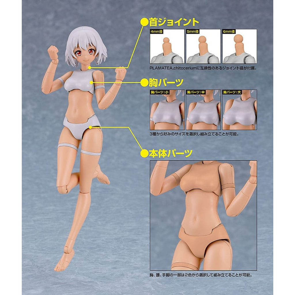 Imagen del producto PLAMATEA Maqueta - Muse Body: Ichika Tipo C