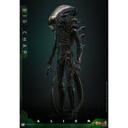 Imagen del producto Alien - Big Chap Masterpiece figura de acción 1:6