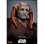 Imagen del producto Star Wars Episodio III: La venganza de los Sith - Saesee Tiin figura de acción Masterpiece 1:6