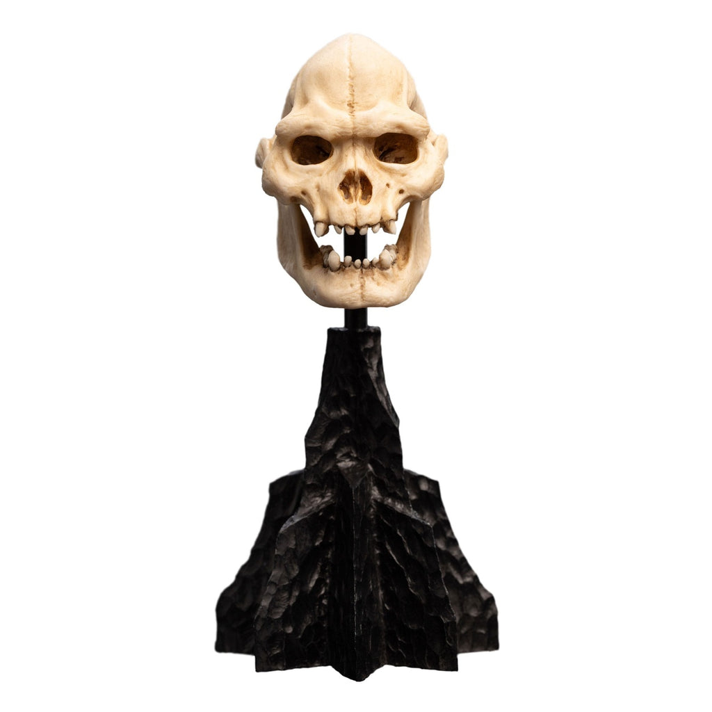 Imagen del producto El Señor de los Anillos - Mini estatua Cráneo de Lurtz