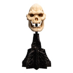 Imagen del producto El Señor de los Anillos - Mini estatua Cráneo de Lurtz