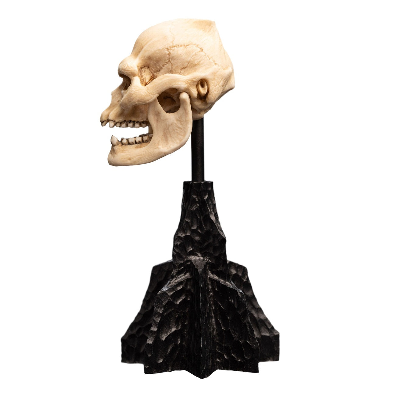Imagen del producto El Señor de los Anillos - Mini estatua Cráneo de Lurtz
