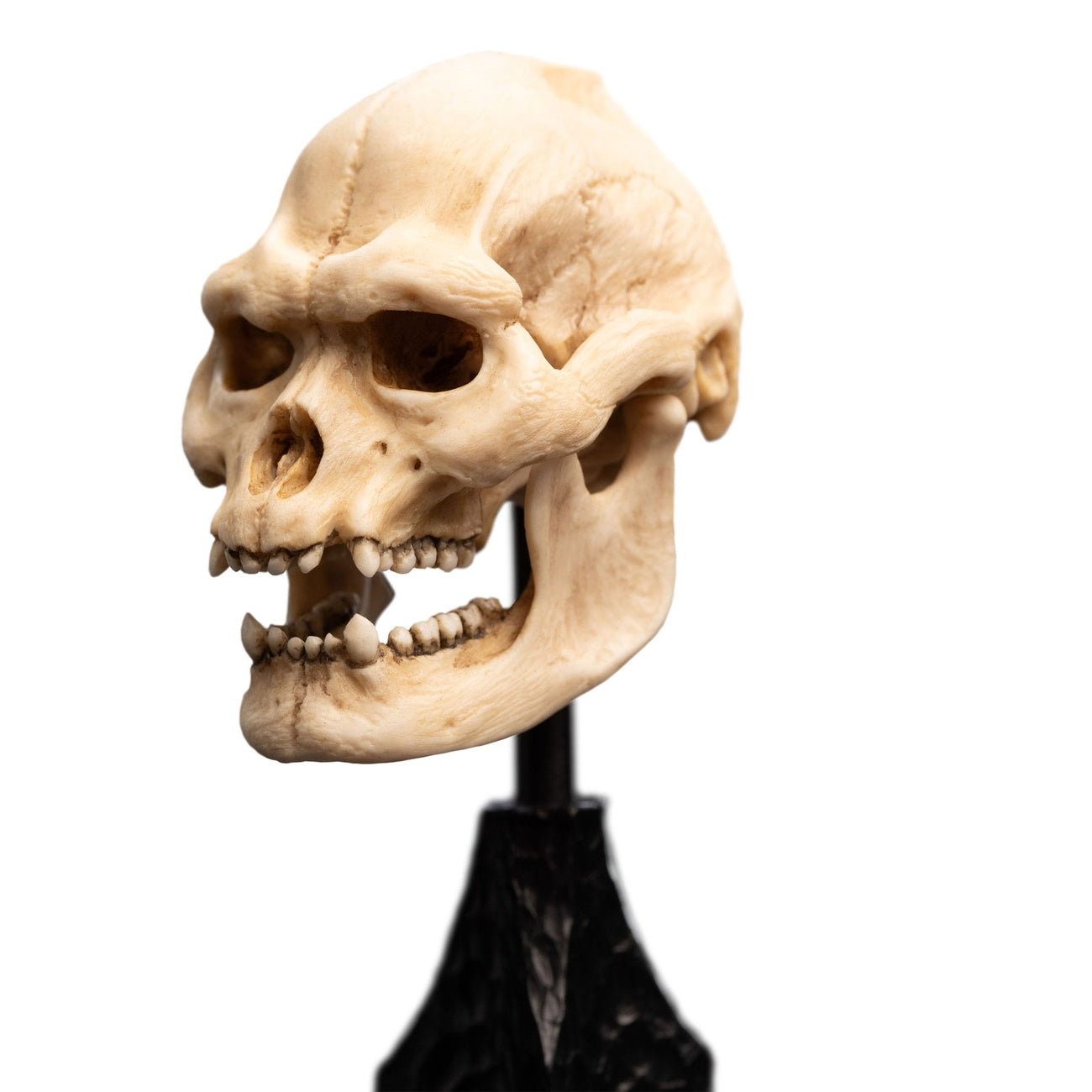 Imagen del producto El Señor de los Anillos - Mini estatua Cráneo de Lurtz