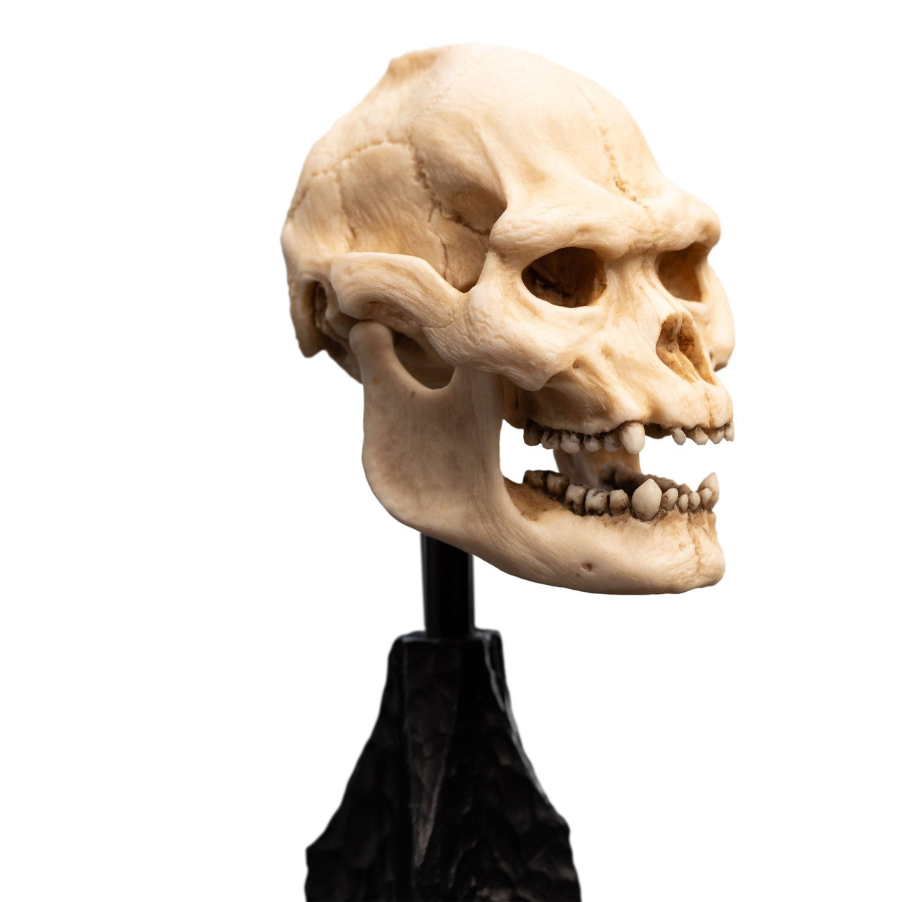 Imagen del producto El Señor de los Anillos - Mini estatua Cráneo de Lurtz