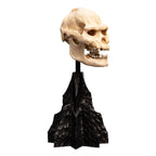 Imagen del producto El Señor de los Anillos - Mini estatua Cráneo de Lurtz