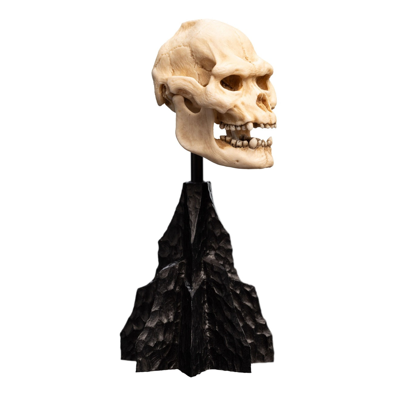 Imagen del producto El Señor de los Anillos - Mini estatua Cráneo de Lurtz