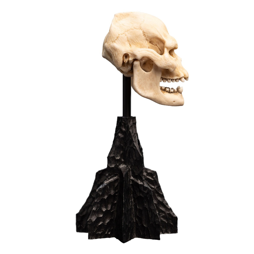 Imagen del producto El Señor de los Anillos - Mini estatua Cráneo de Lurtz