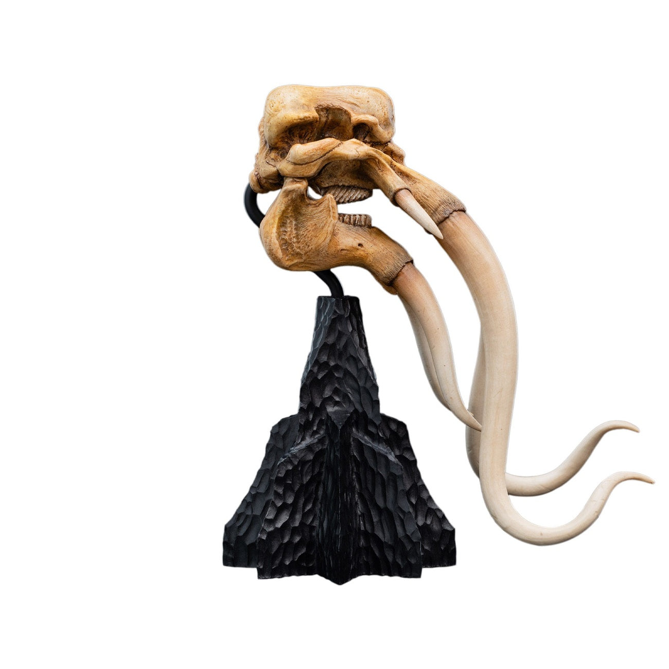 Imagen del producto El Señor de los Anillos - Calavera de un Mumak Mini Estatua
