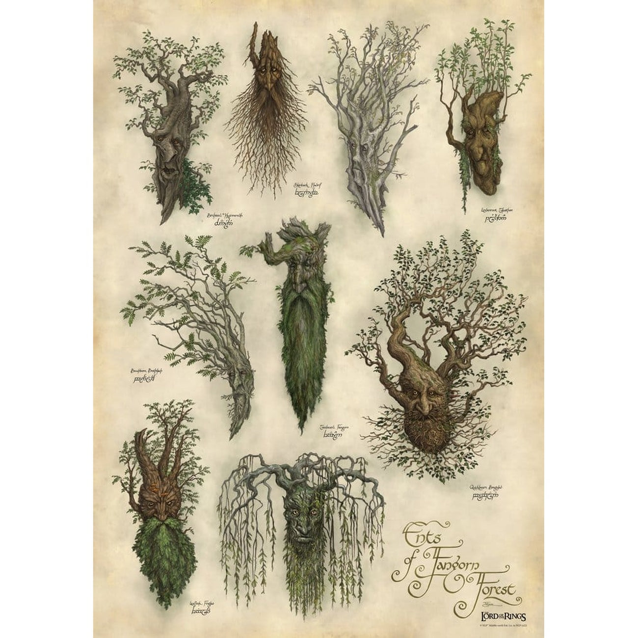Imagen del producto El Señor de los Anillos – Lámina artística Fangorn