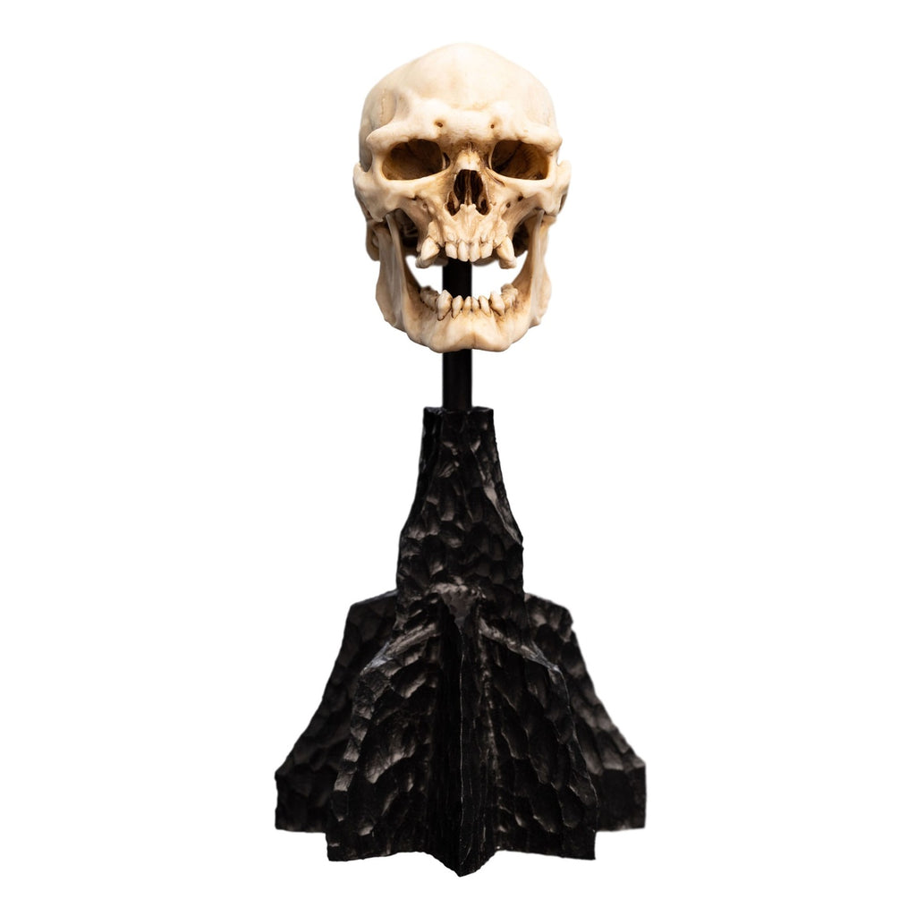 Imagen del producto El Señor de los Anillos - Calavera de un Orco de Mordor Mini Estatua