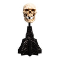 Imagen del producto El Señor de los Anillos - Calavera de un Orco de Mordor Mini Estatua