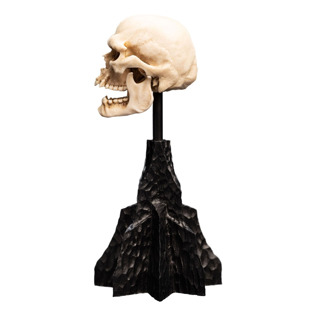 Imagen del producto El Señor de los Anillos - Calavera de un Orco de Mordor Mini Estatua