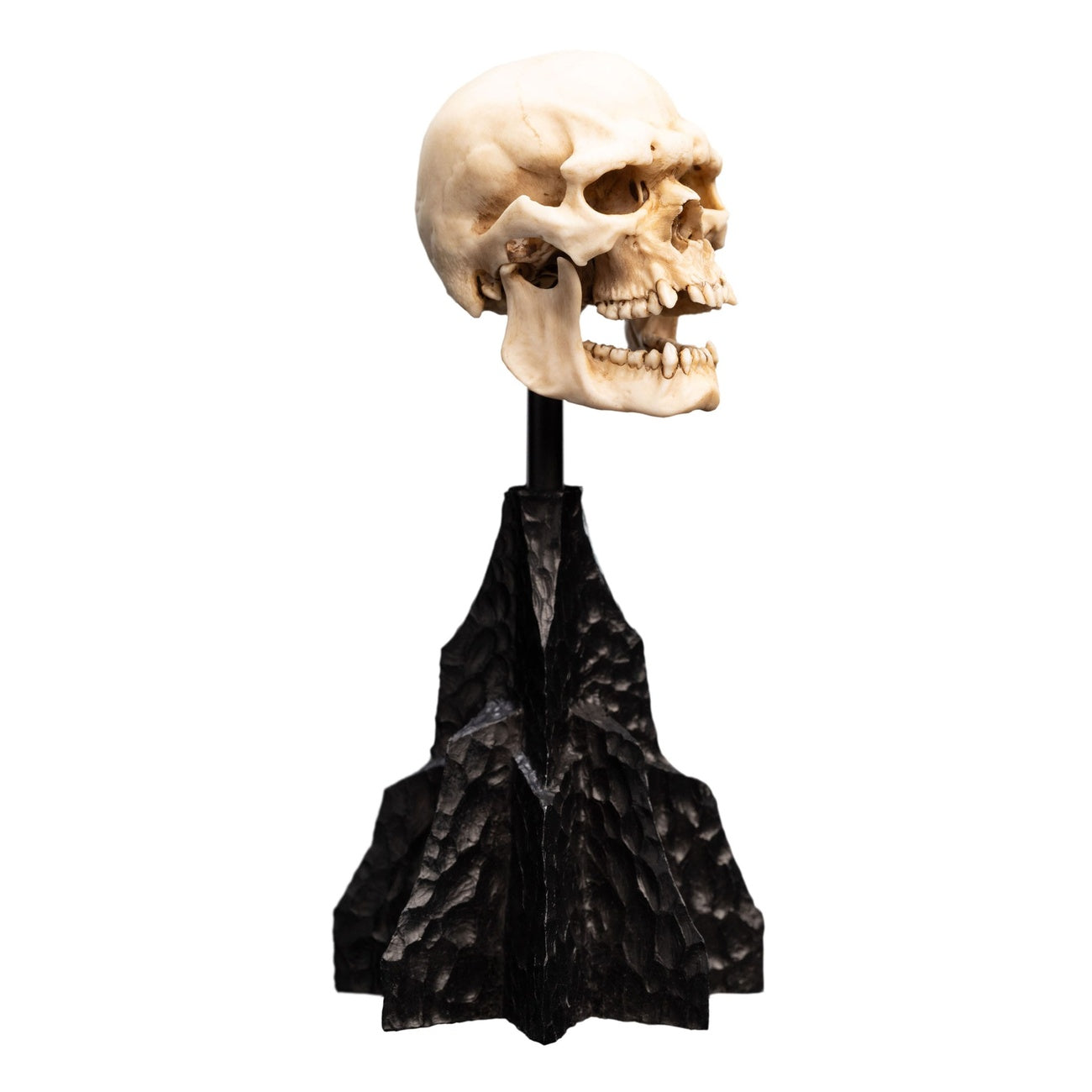Imagen del producto El Señor de los Anillos - Calavera de un Orco de Mordor Mini Estatua