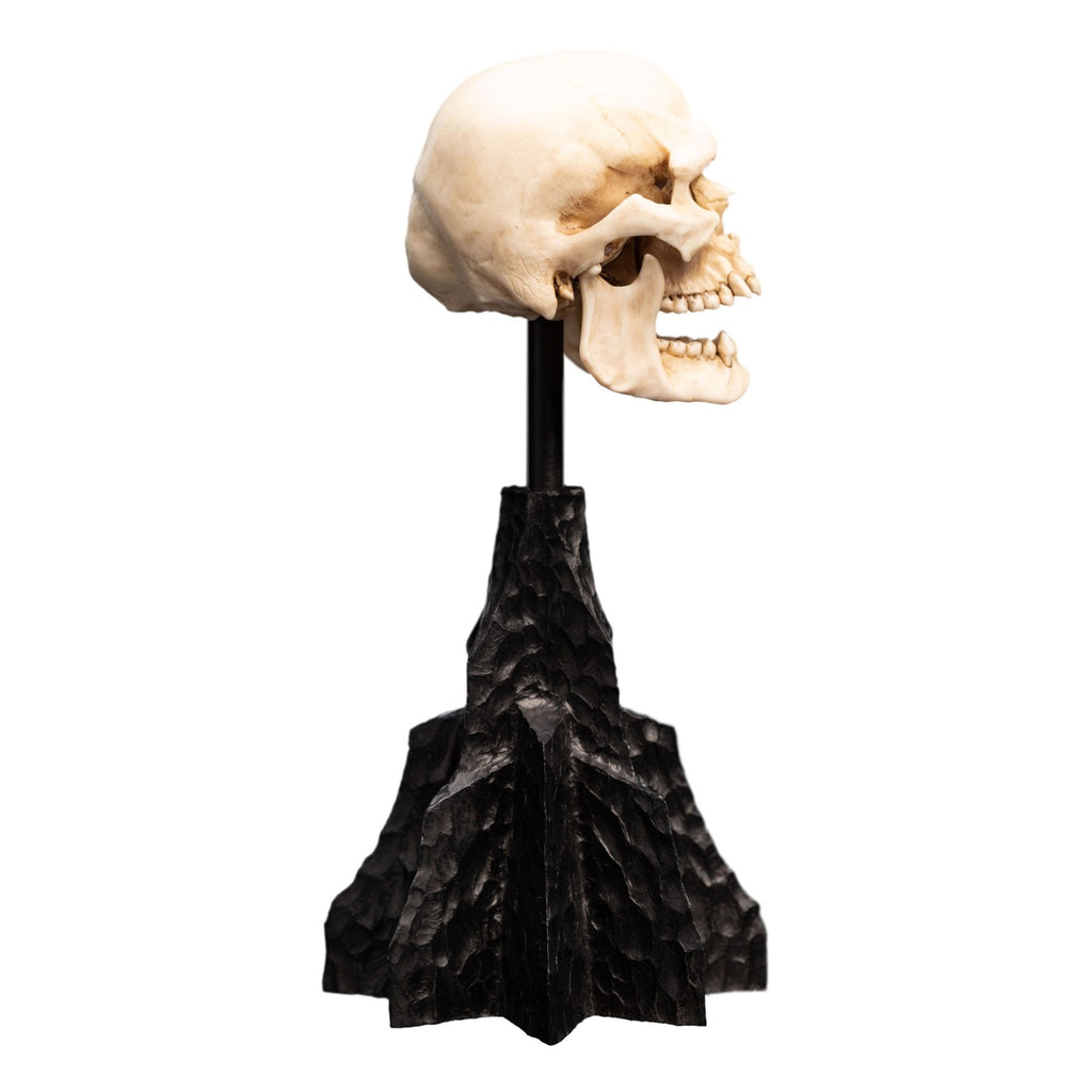 Imagen del producto El Señor de los Anillos - Calavera de un Orco de Mordor Mini Estatua