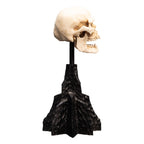 Imagen del producto El Señor de los Anillos - Calavera de un Orco de Mordor Mini Estatua