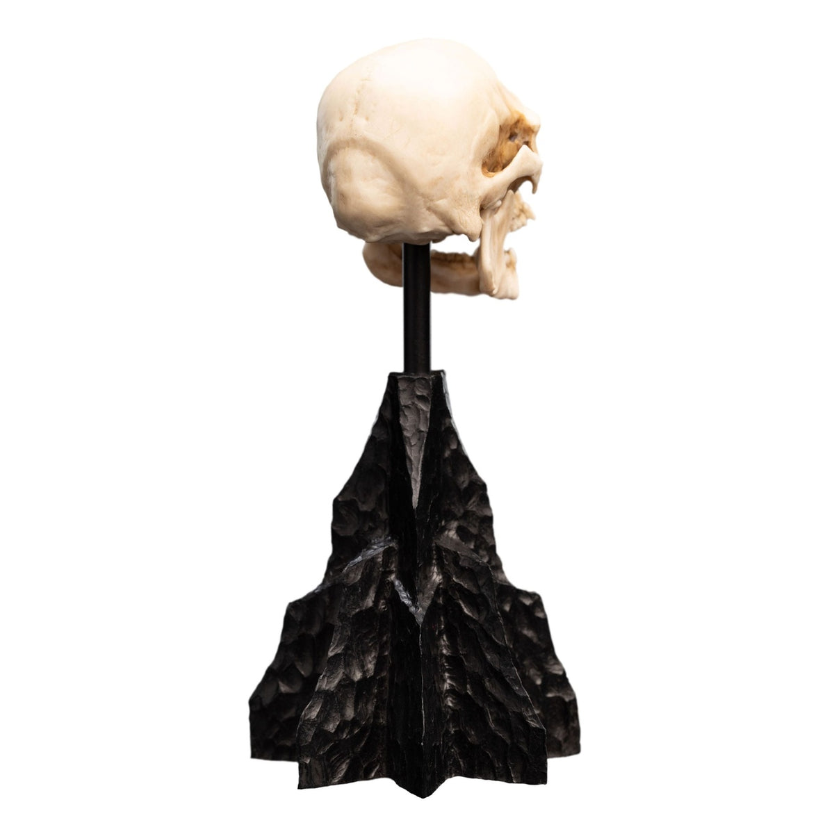 Imagen del producto El Señor de los Anillos - Calavera de un Orco de Mordor Mini Estatua