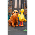 Imagen del producto Barrio Sésamo figuras de acción ReAction pack de 2 Big Bird y Mr. Snuffleupagus 10 cm