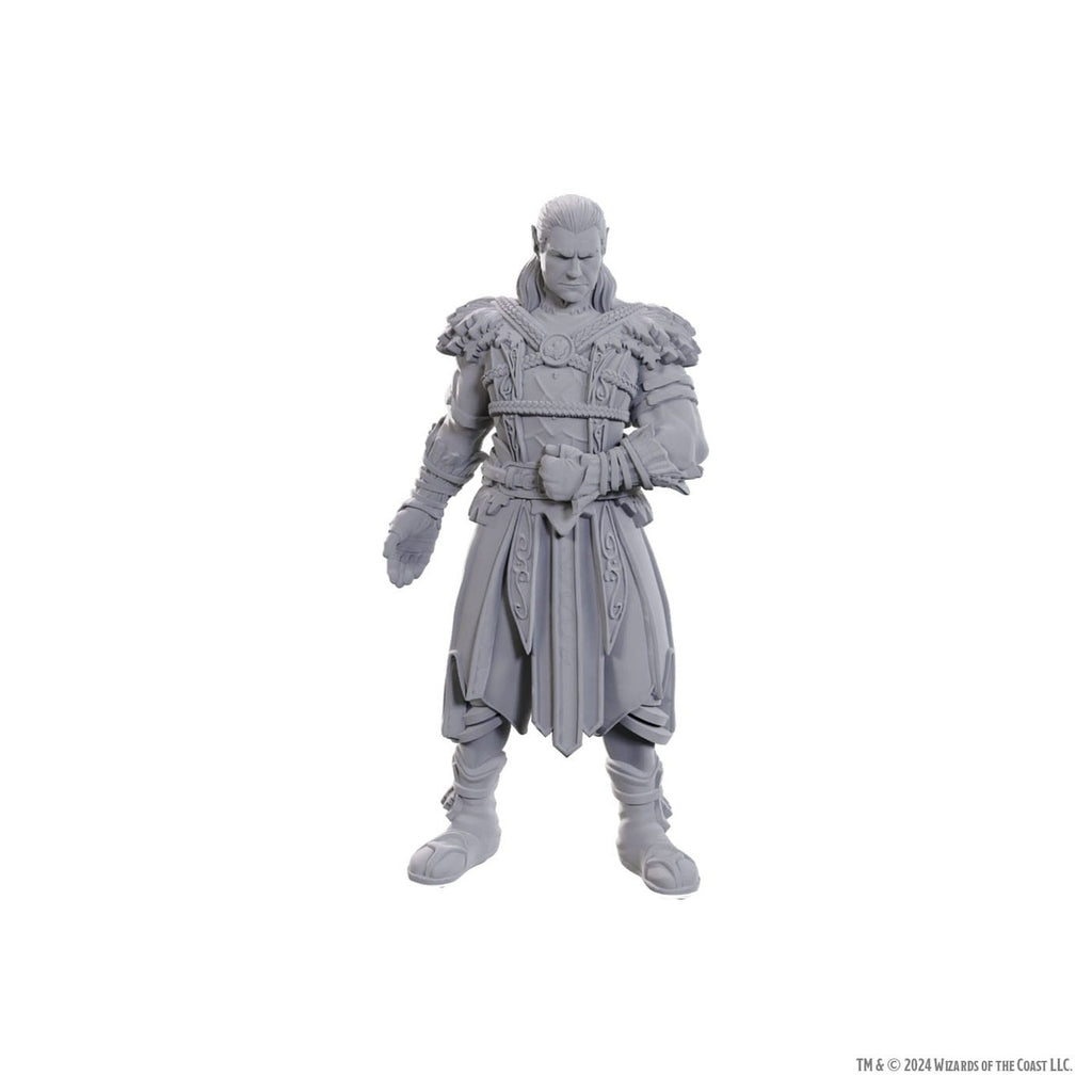 Imagen del producto D&D Nolzur's Marvelous Miniatures Miniaturas sin pintar Jaheira & Halsin