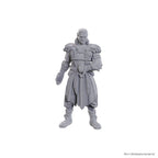 Imagen del producto D&D Nolzur's Marvelous Miniatures Miniaturas sin pintar Jaheira & Halsin