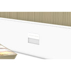 Imagen del producto Ultimate Guard Arkhive 800+ XenoSkin Monocolor Blanco