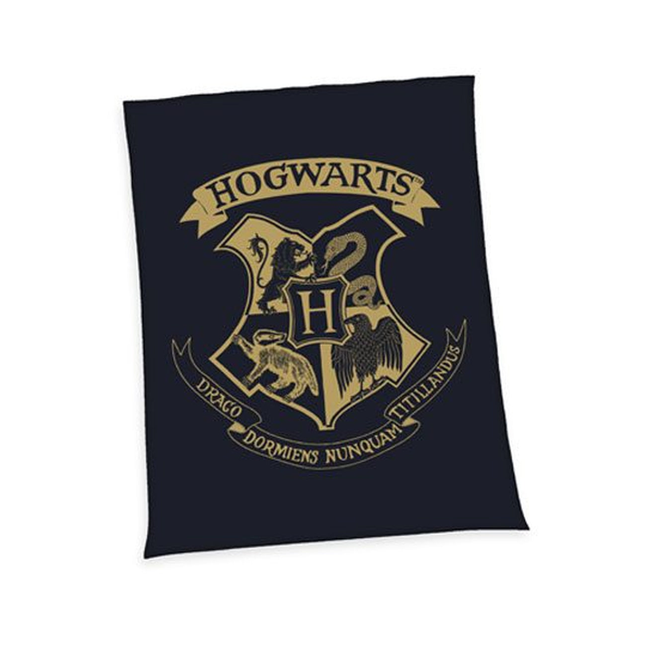 Imagen del producto Harry Potter Manta polar Hogwarts 150 x 200 cm