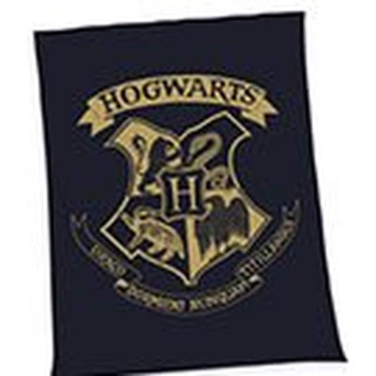 Imagen del producto Harry Potter Manta polar Hogwarts 150 x 200 cm