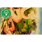 Imagen del producto Disney Tiny Adventures Book Nook Mini diorama El libro de la selva 23 cm