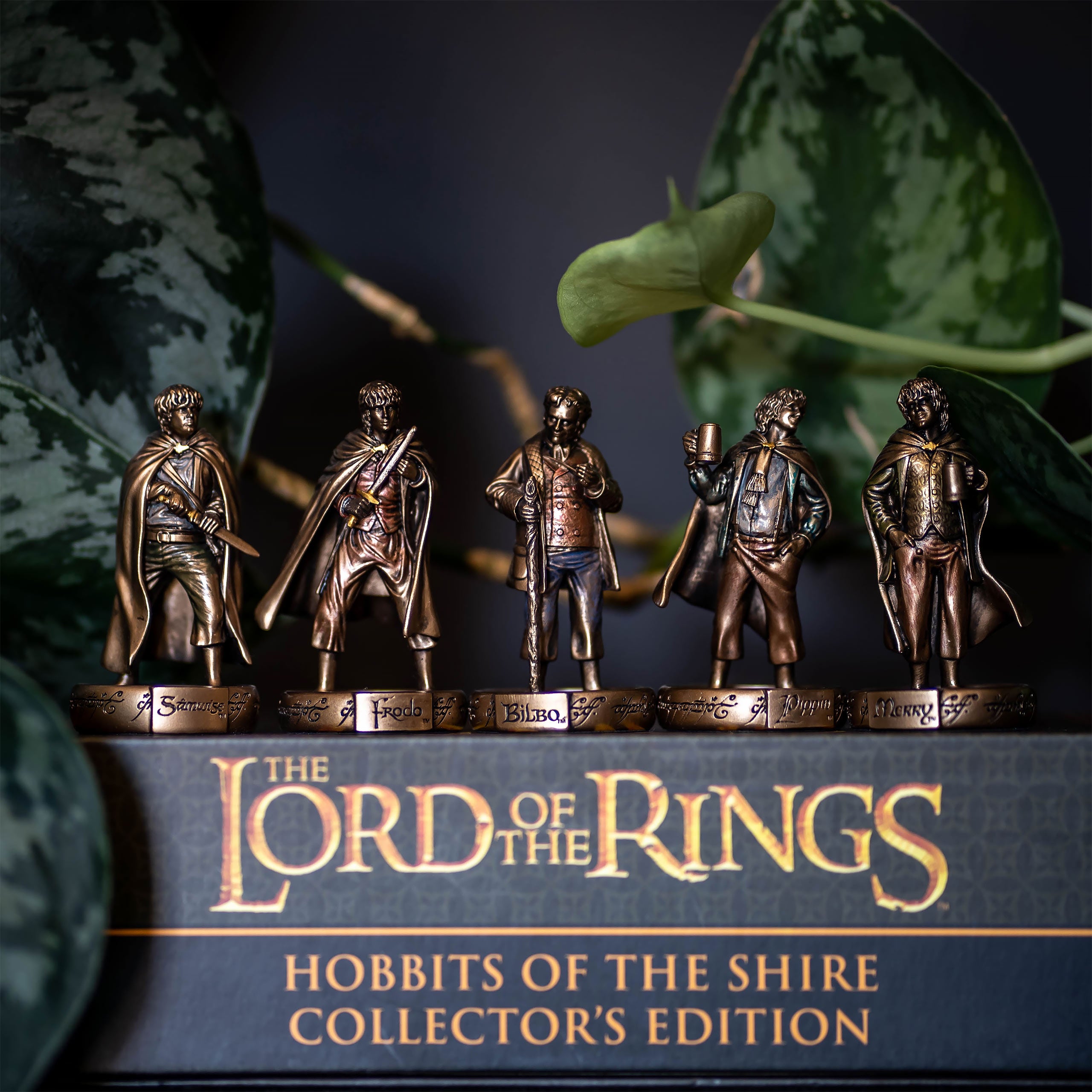 Imagen del producto El Señor de los Anillos - La Comunidad figuras coleccionables set de 5
