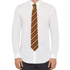 Imagen del producto Harry Potter Corbata y Pin Caja Deluxe Gryffindor