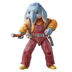 Product image Star Wars: Skeleton Crew Black Series Action Figure Neel (At Attin) 15 cm